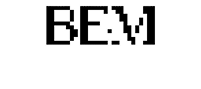 BEM